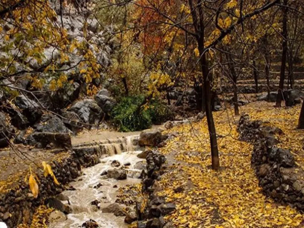 طبیعت پاییزی دشتک