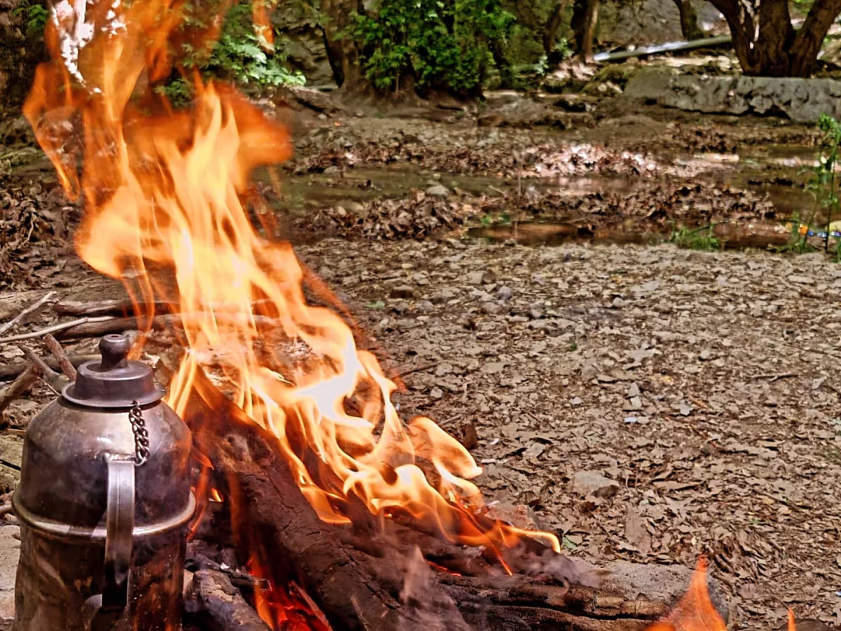 تور پاییزی 6 روزه گیلان