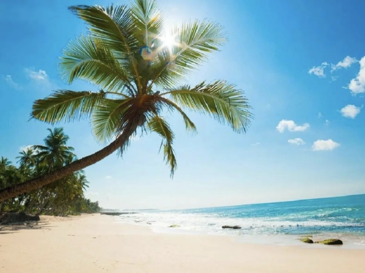 اقتصادی ترین وبا کیفیت ترین تور پنج. روز زمینی کیش