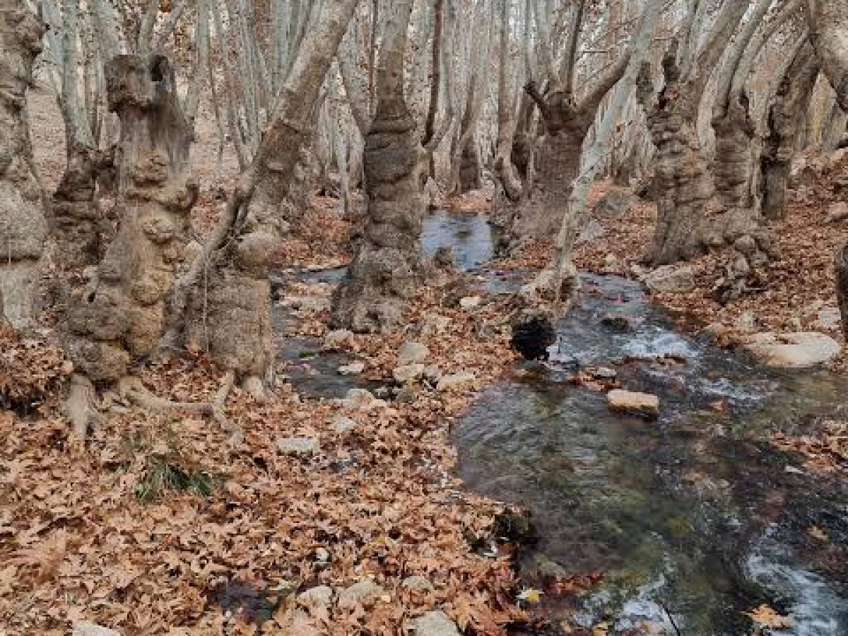 تور یک روزه غوره دان