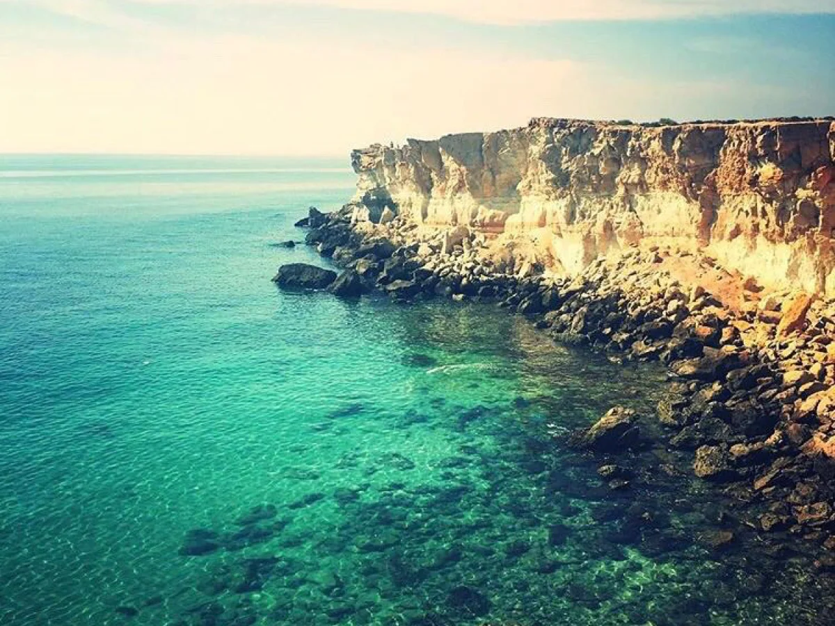 تور یک روزه سیراف و نایبند و نخل تقی