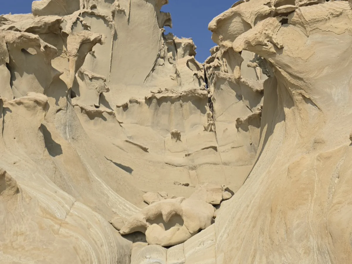 خط ساحلی جنوب