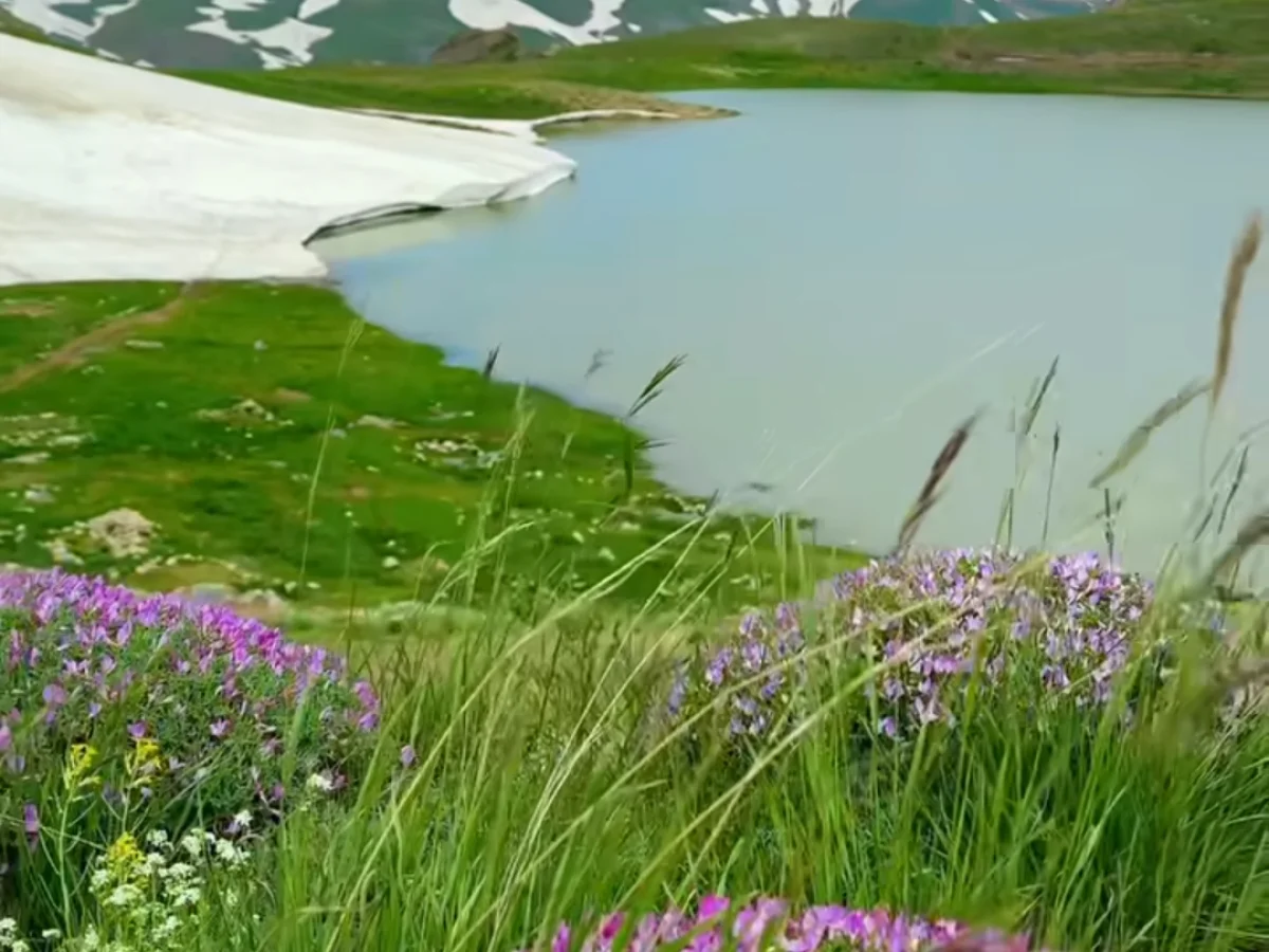تور گروهی  دالامپر (از آذربایجان غربی تا کردستان) 